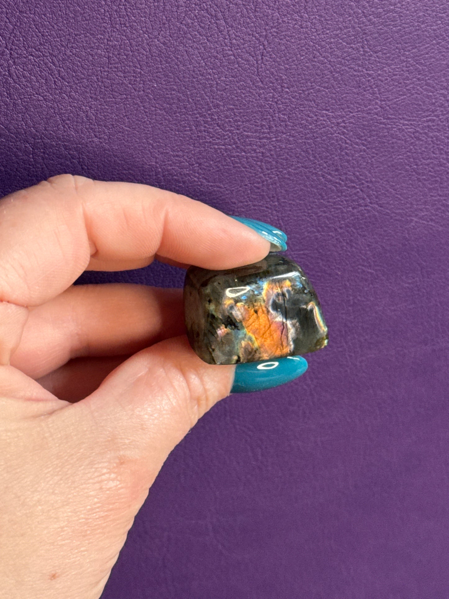 Spectrolite Minis