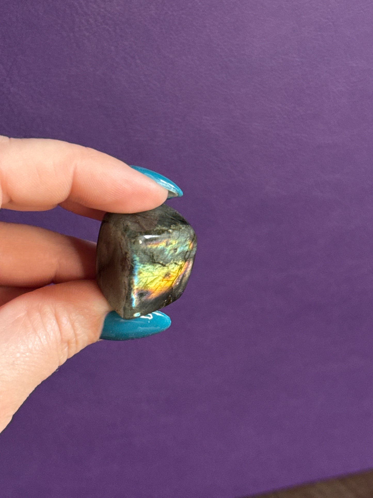 Spectrolite Minis