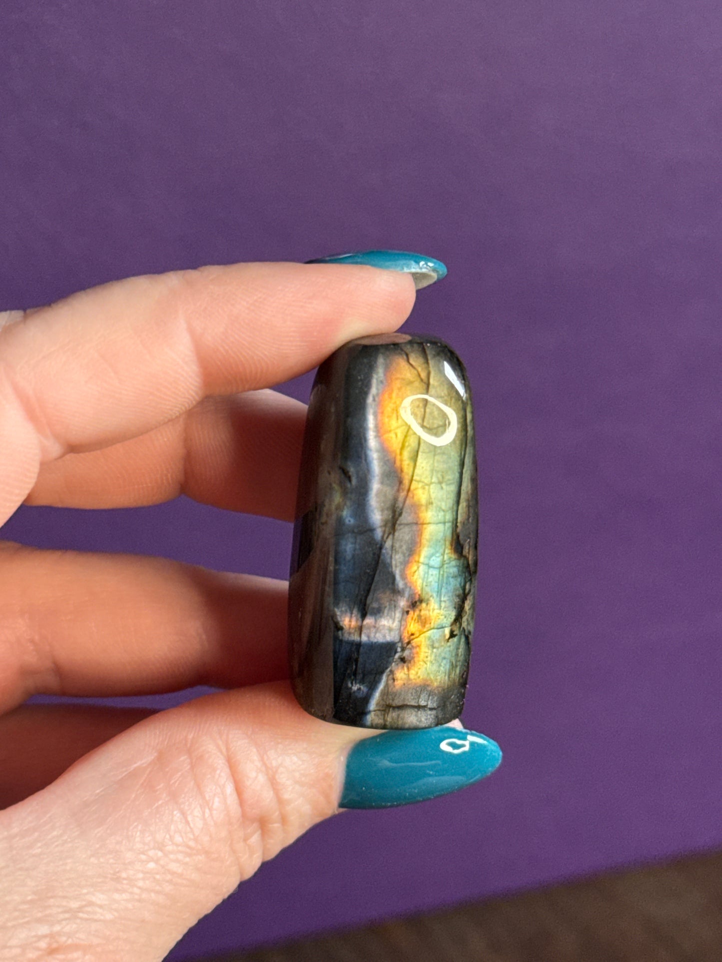 Spectrolite Minis