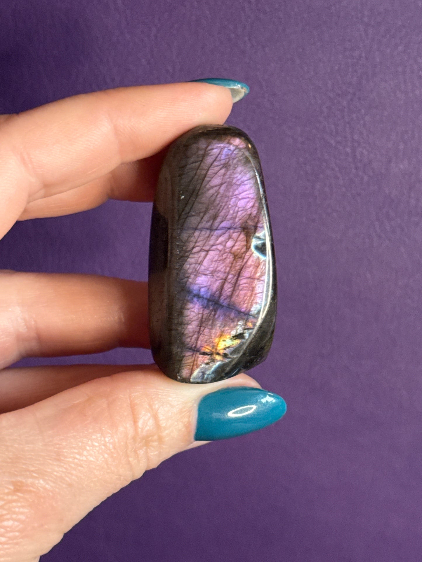 Spectrolite Minis