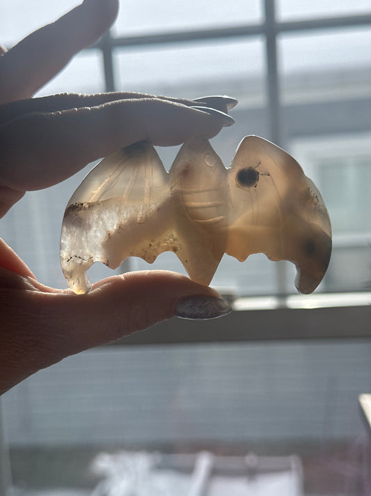 Agate Bat