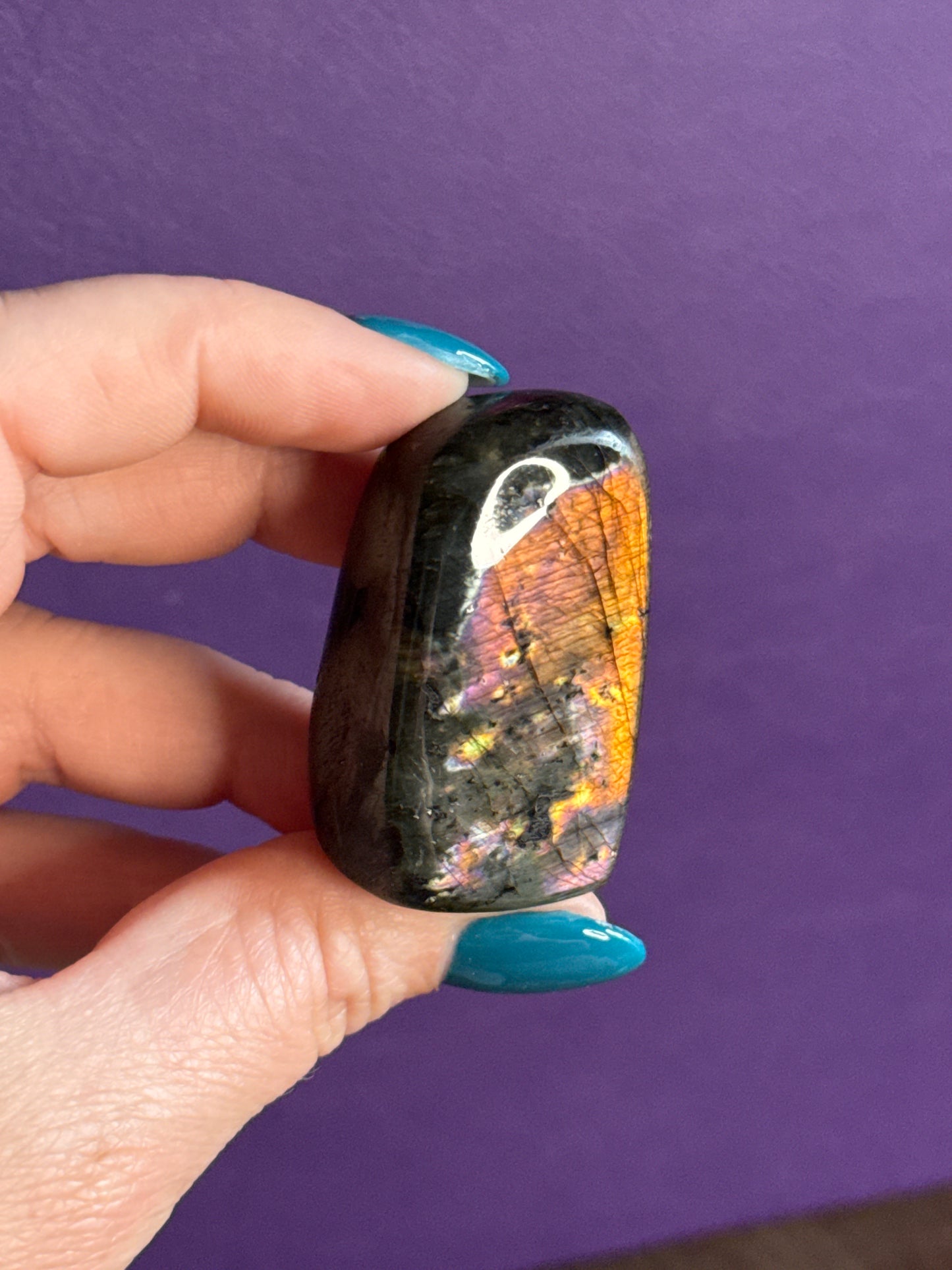 Spectrolite Minis
