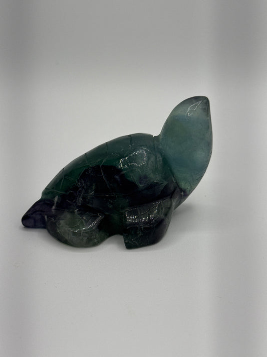 Fluorite Sea Turtle