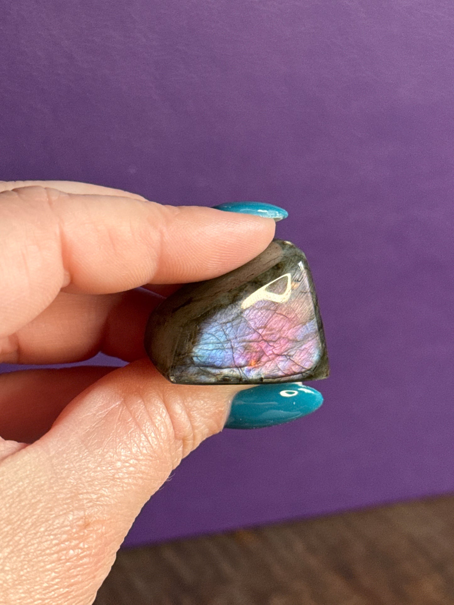 Spectrolite Minis