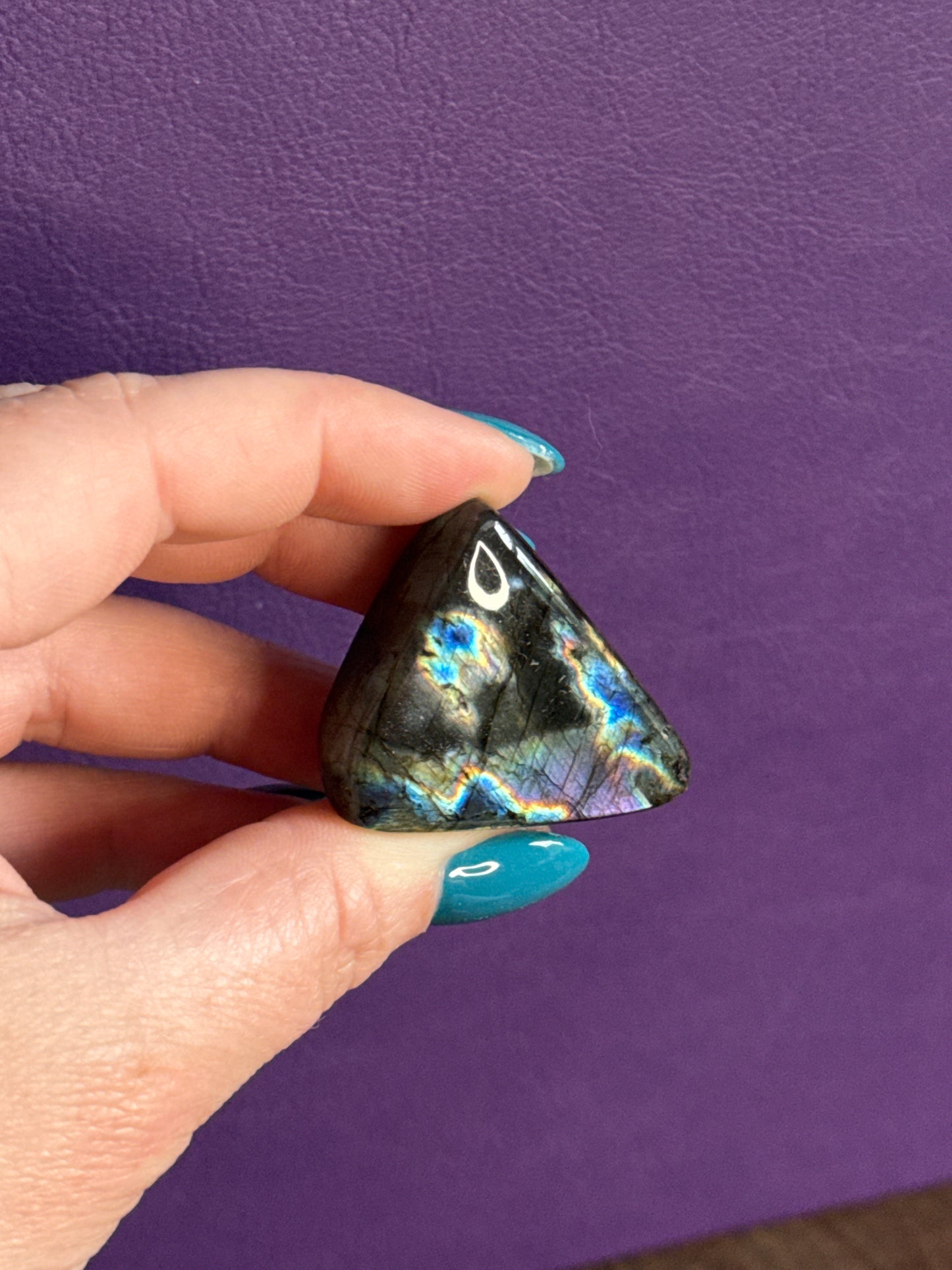 Spectrolite Minis