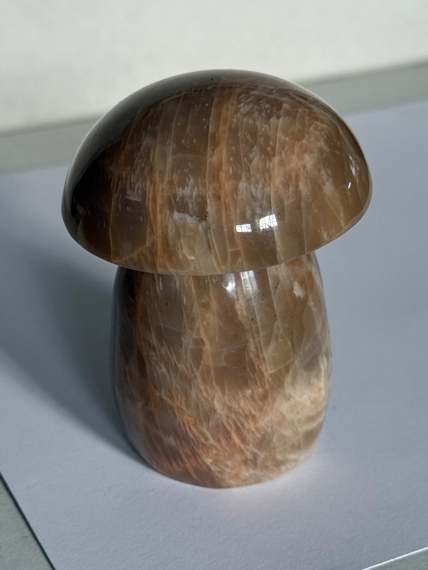 Moonstone Mushrooms