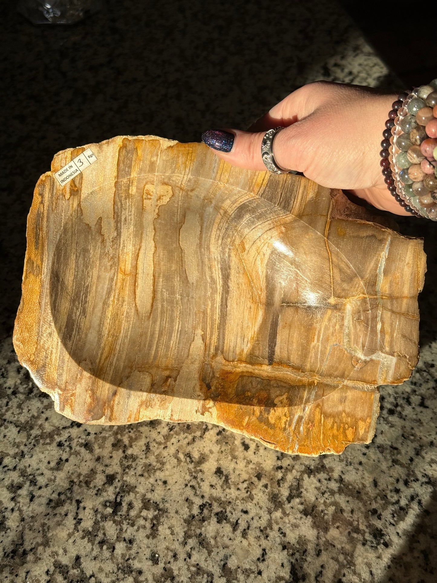 Petrified Wood Bowl C