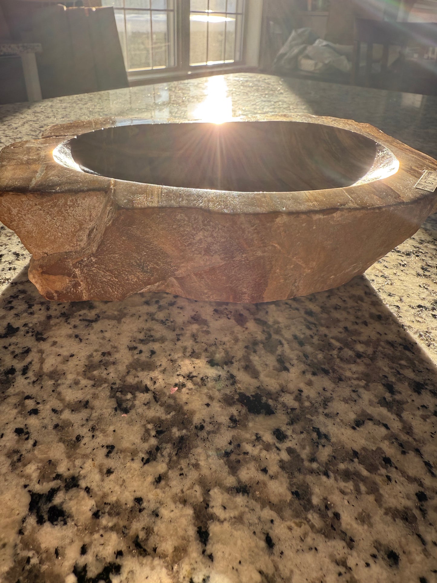 Petrified Wood Bowl C