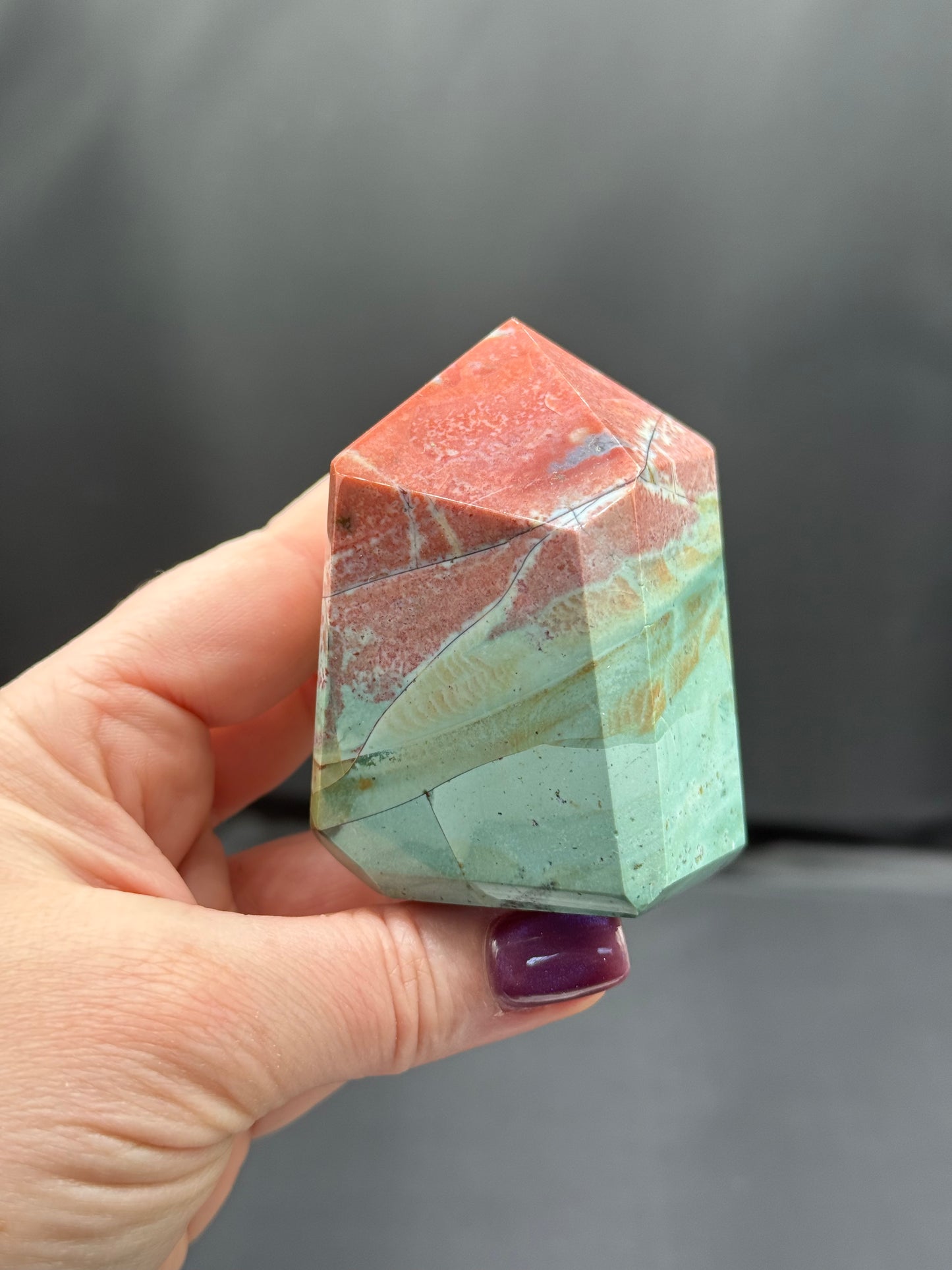 Unicorn Jasper Faceted Freeform’s