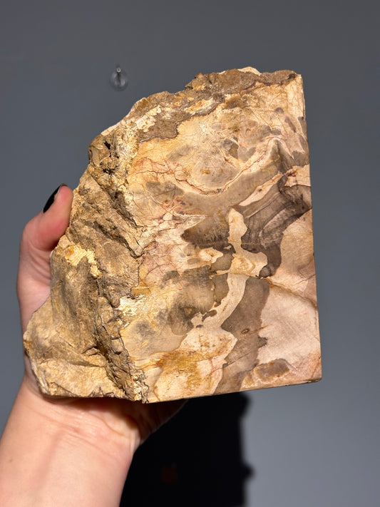 Petrified Wood Block B