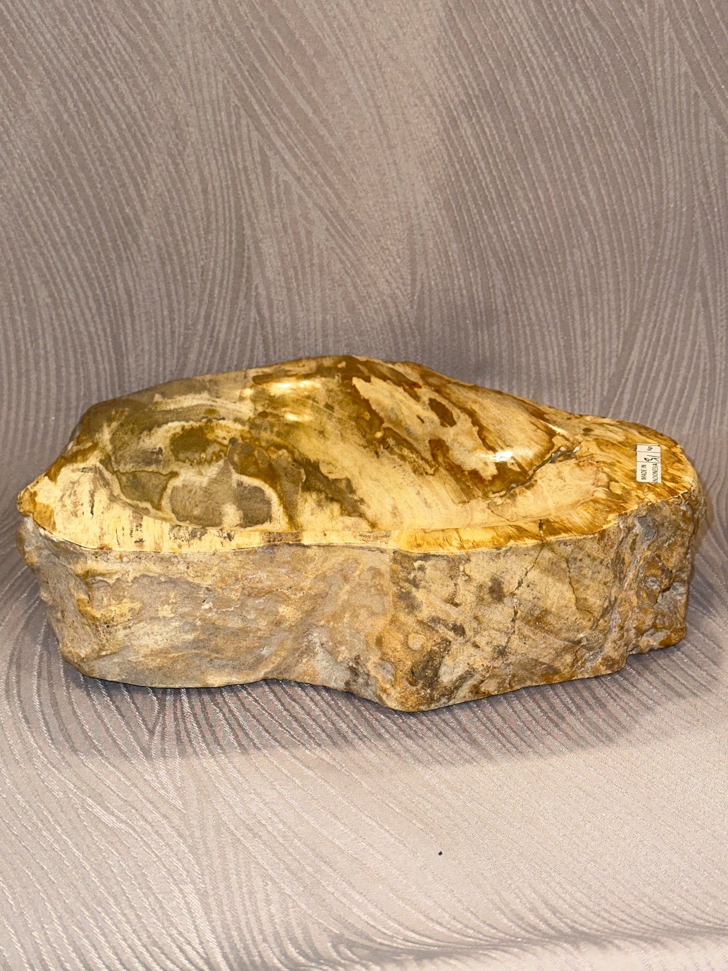 Petrified Wood Bowl B